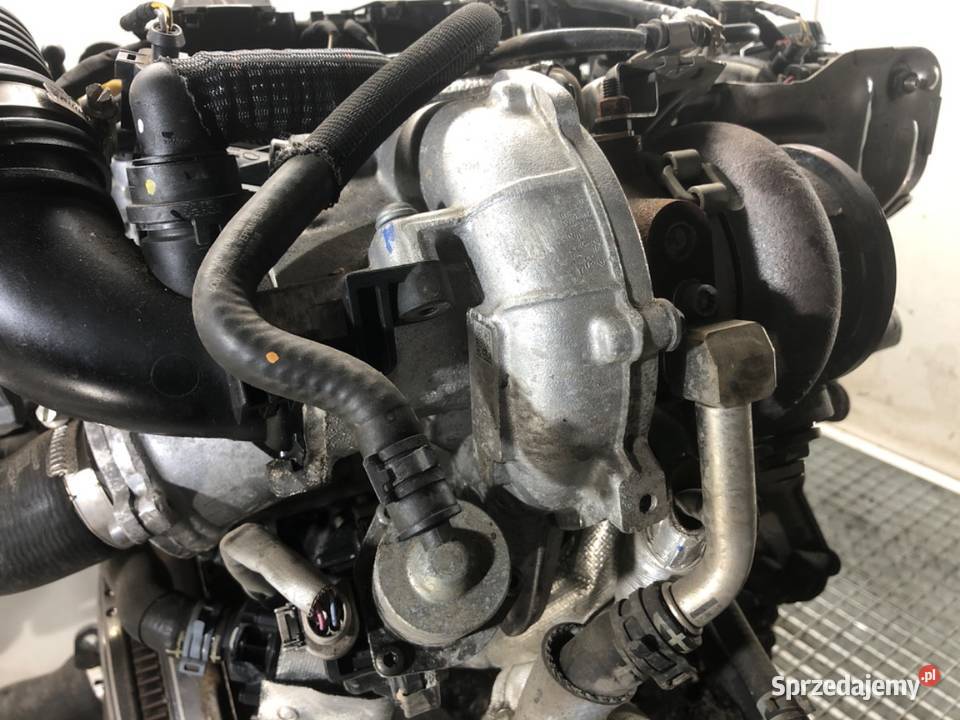 SILNIK KOMPLETNY SEAT 20 300 DNU LEON III