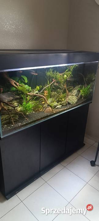 Akwarium 120x50x50 zestaw opti śląskie Zamarski