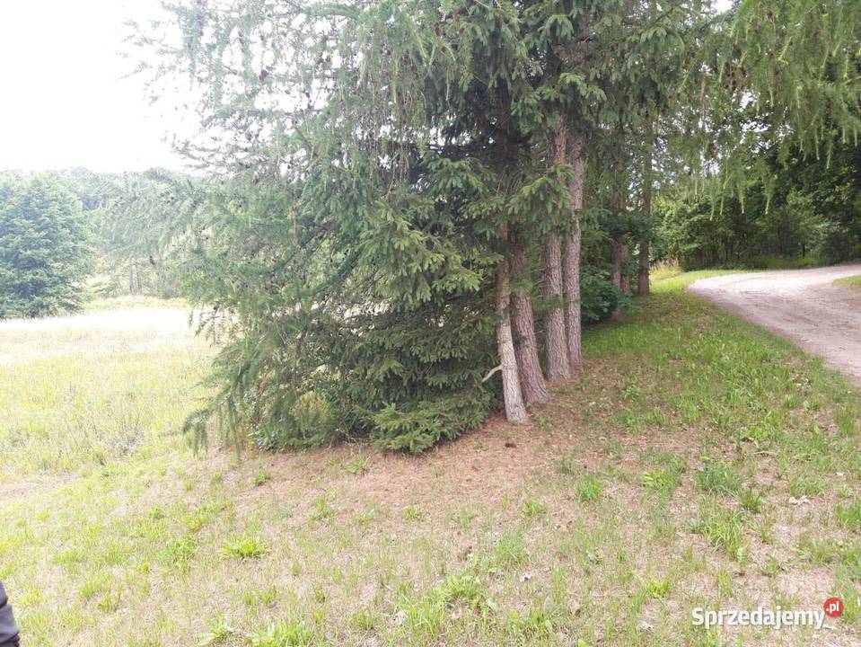 Działka budowlana z dostępem do rzeki Lipie