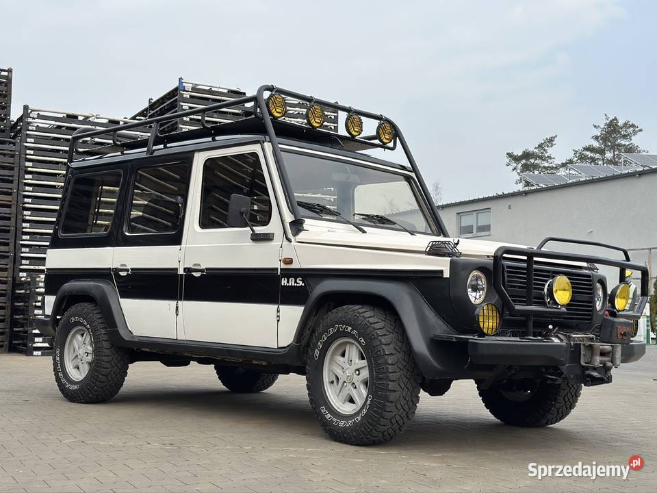 Mercedes G w460 280GE Professional OffRoad Klasa G Opole