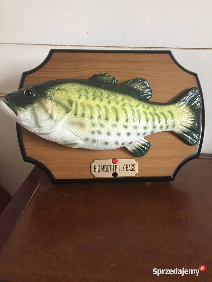 Śpiewająca i tańcząca ryba lubelskie Ryki