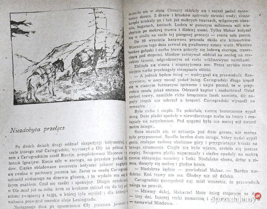 Złota rzeka Jewgienij Ustijew lubelskie Chełm