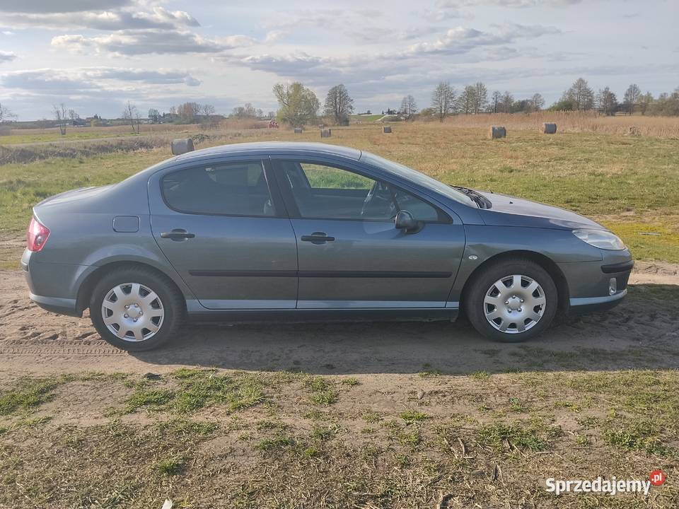Peugeot 407 18 gaz Łęczyca