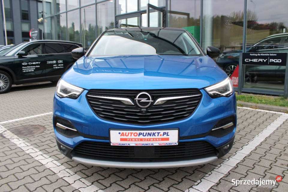Opel Grandland X 2021r Salon Polska HAK 300 4x4 1598cm3 Grandland X śląskie Bielsko-Biała