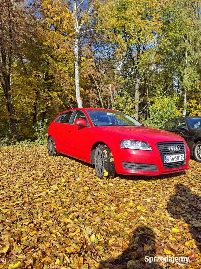 Sprzedam audi a3 8p polift ANGLIK 1900cm3 podkarpackie Leżajsk