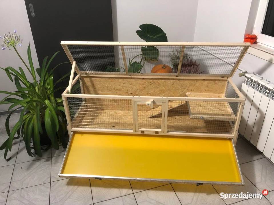 Klatka drewniana zagroda królika świnki morskiej Dla gryzoni sprzedam