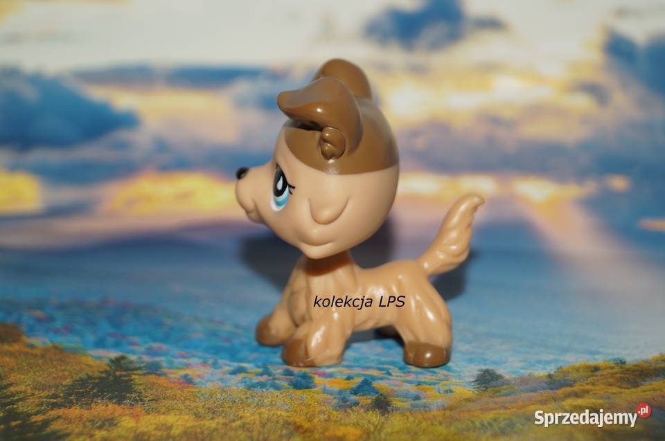 LPS collie 893 853 UNIKAT oryginalny Littlest śląskie Rybnik