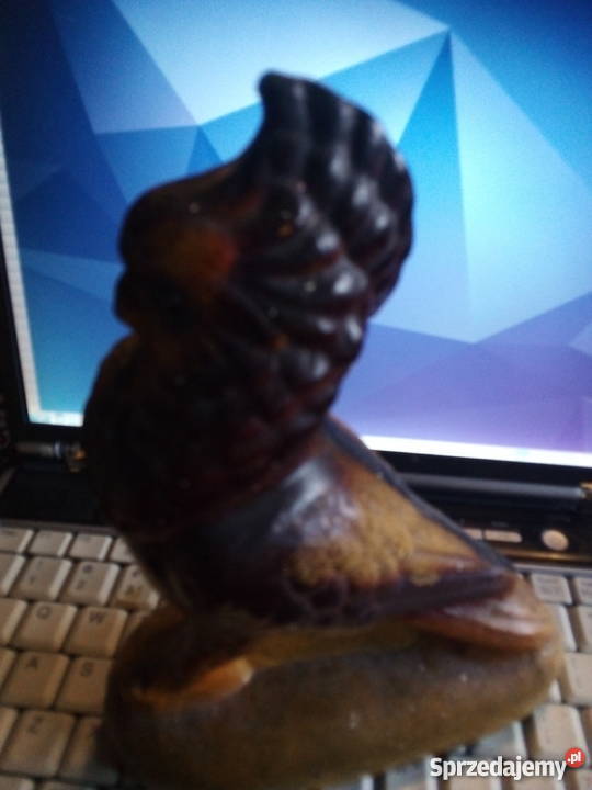 Stary Orzeł mazowieckie Warszawa sprzedam