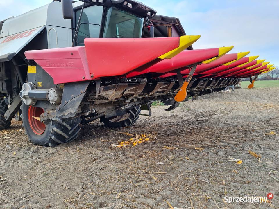 Przystawka do kukurydzy 8 rzędowa geringhoff 8 Branice
