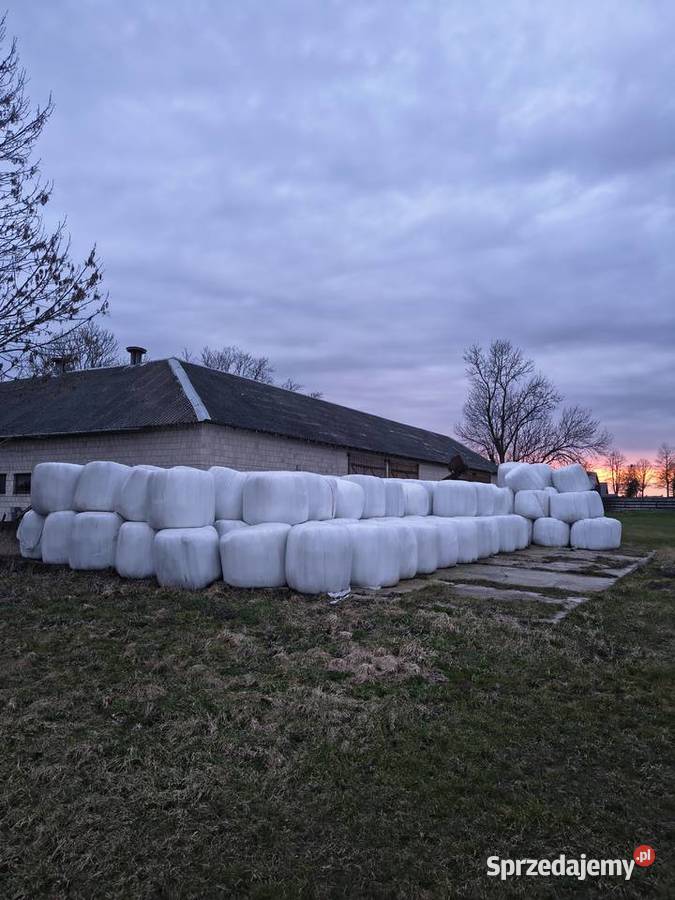 Bele sianokiszonki Zambrów sprzedam
