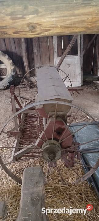 SIEWNIK 15 LEJKOWY małopolskie Stary Sącz