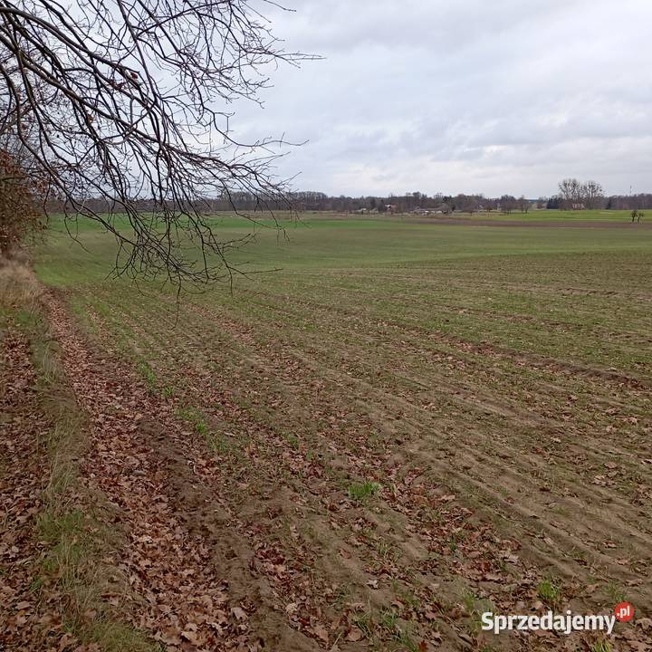 Wytomyśl Wypoczynkowa działka budowlana na sprzedam