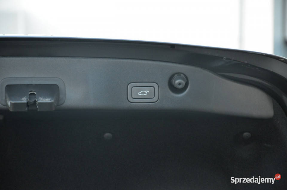 Jaguar XJ 30D 300 Lift Serwis Full LED Kamera Kutno
