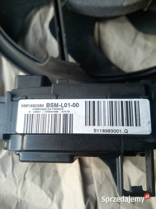 Moduł L01 bsm 9661682580 Peugot Citroen Myszków