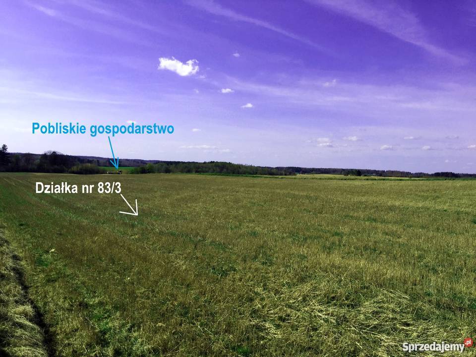 Działka na Mazurach Jeziorem Kownatki Dwie Rzeki 3005m2 Nidzica sprzedam