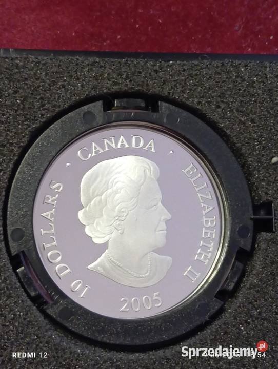 CANADA 2005 10 dolarów w srebrze proof PP PAPIEŻ Numizmatyka
