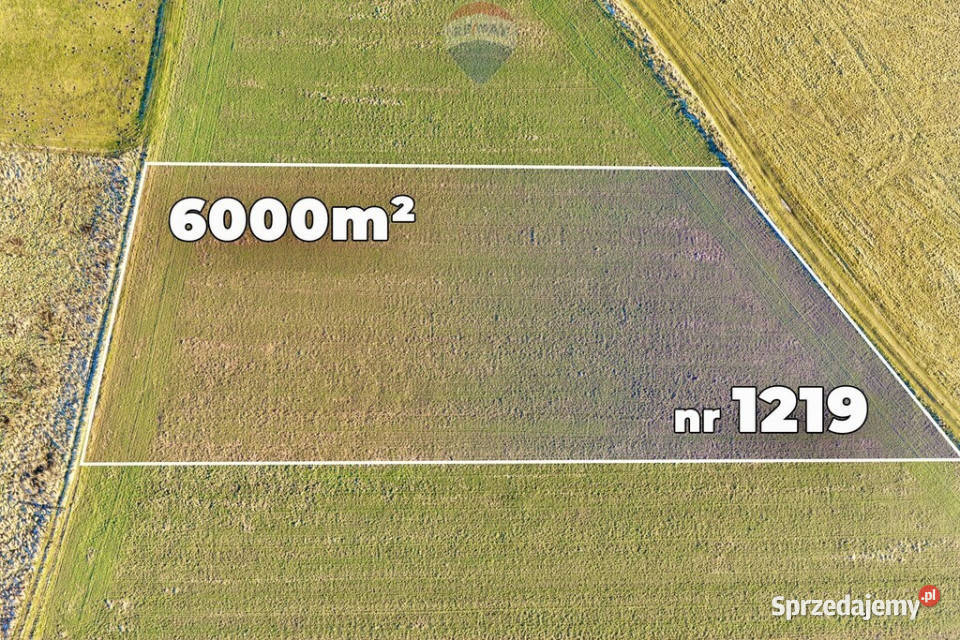 Okazja cenowa Duża działka Chocianowiec