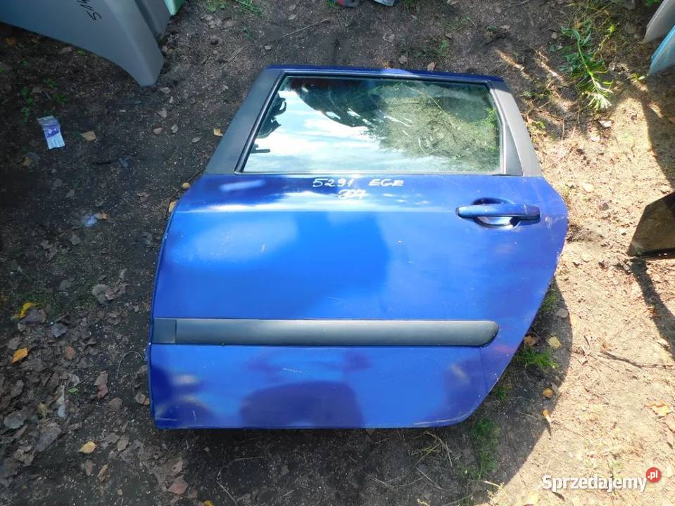 peugeot 307 drzwi kolor EGE 5291 WYSYŁKA osobowe śląskie Żory