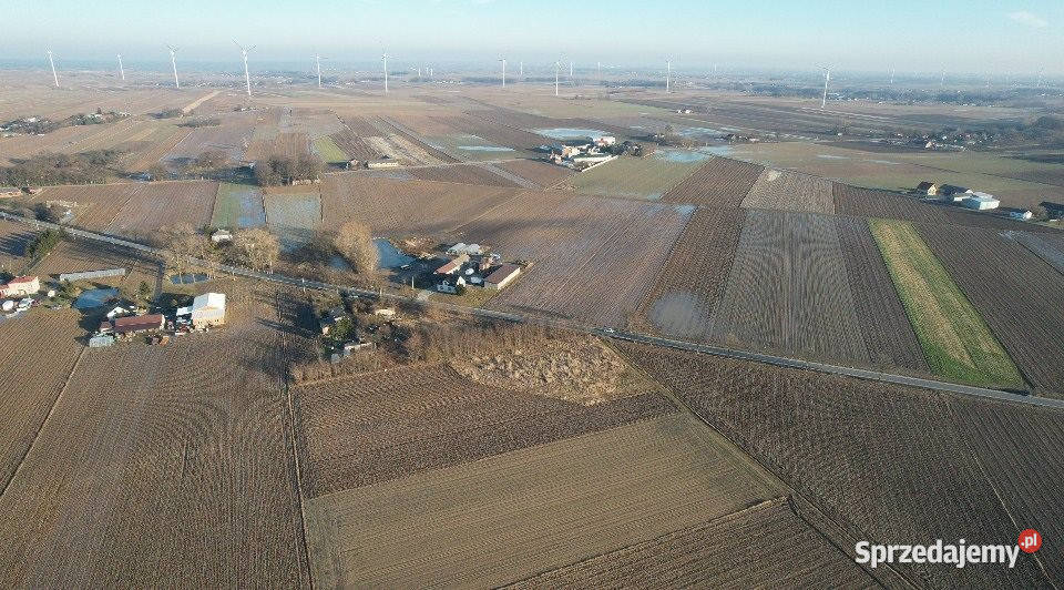 Ogłoszenie działka 5390m2 Raczków