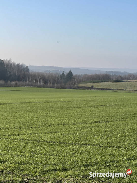Działka siedliskowabudowlana Sprzedaż Sopieszyno