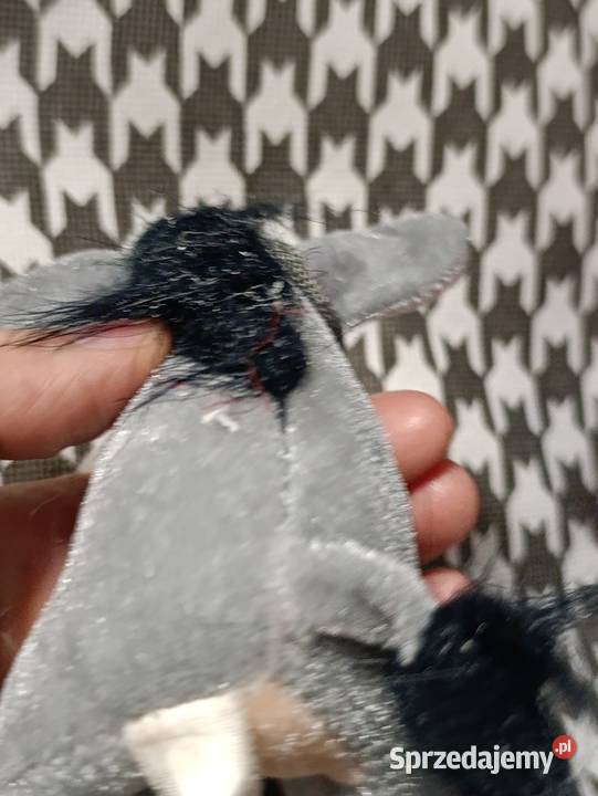 pluszowe zabawki przedstawiające Kłapouchego Poznań