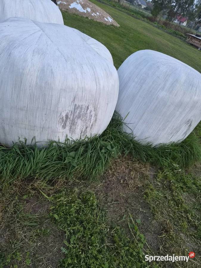 Sianokiszonka Trawy, słoma Miłochniewice sprzedam