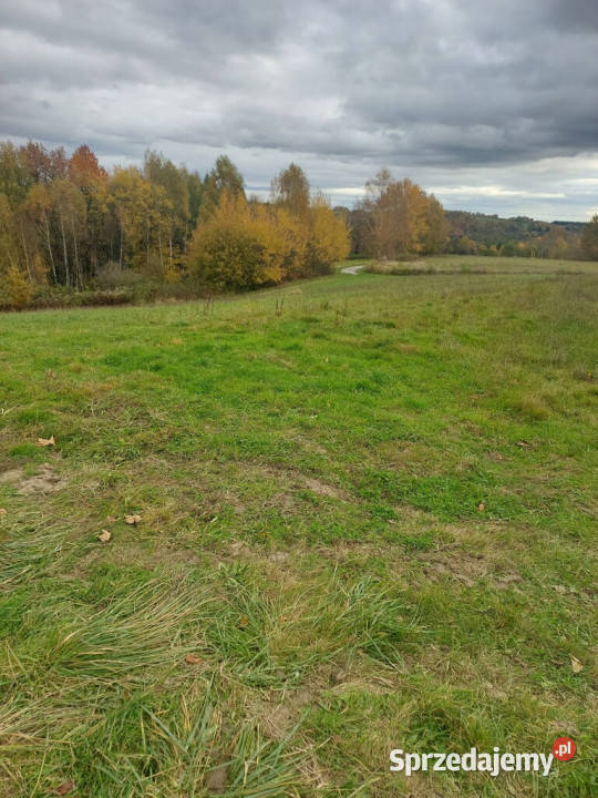 Działka budowlana 36 ar Tuchów Okazyjna