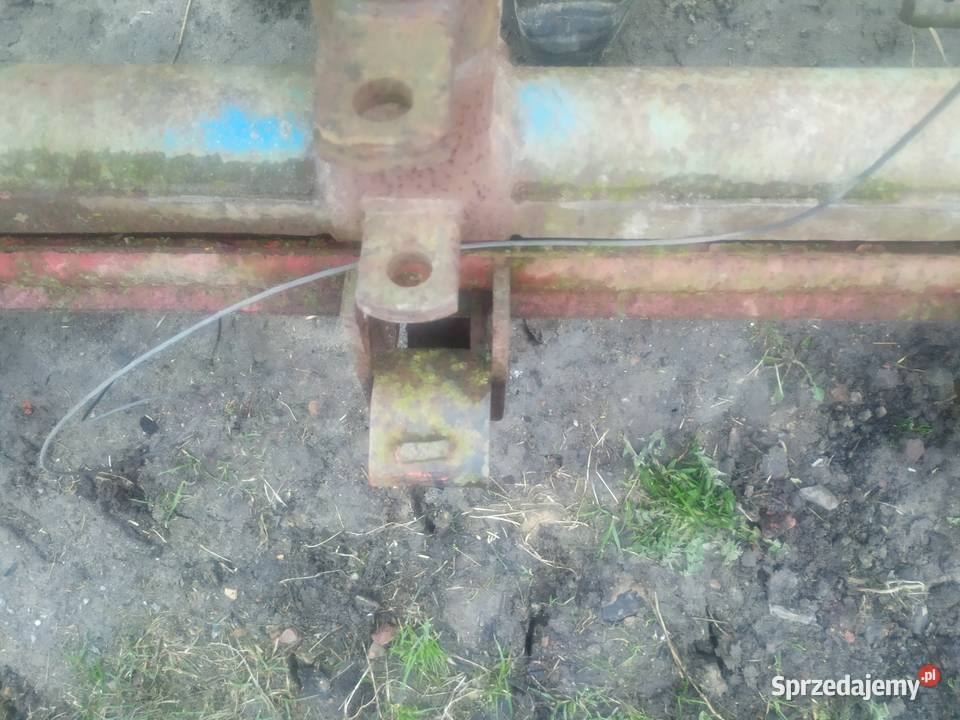 Siewnik do buraków zachodni