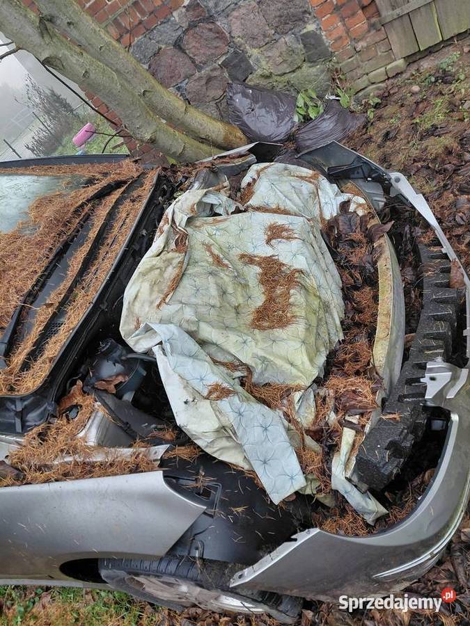 Mervedes bklasa 20 benzyna 4/5 Sulechów