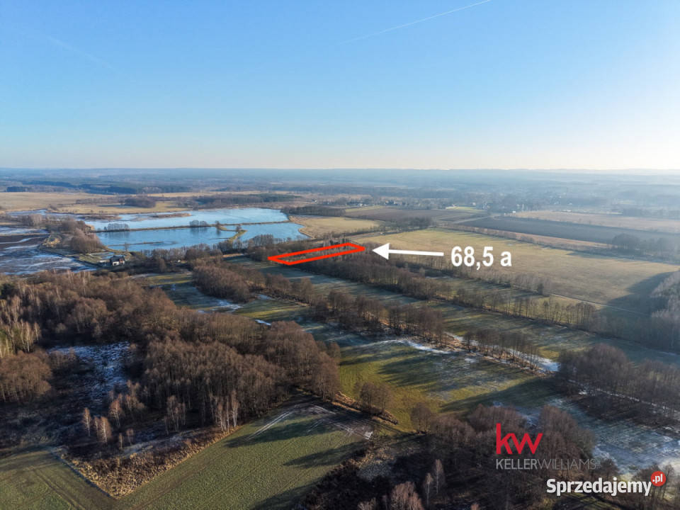 Działka 6850m2 Kuźniczysko Sprzedaż