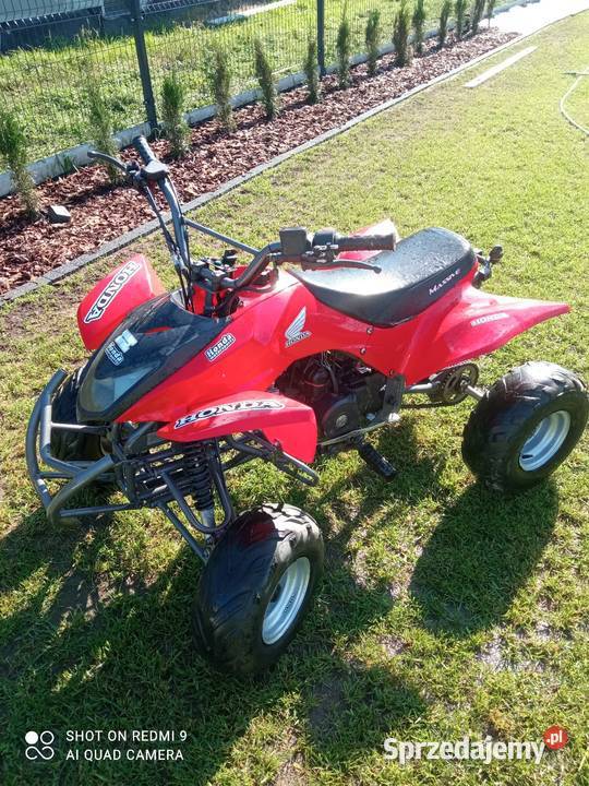 Quad ATV 110125 Bashan dolnośląskie Ścinawa