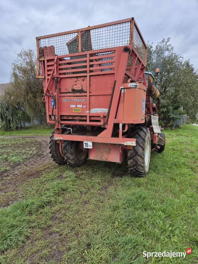 Kombajn do selerów buraków warzyw Italo Svizzera małopolskie Proszowice