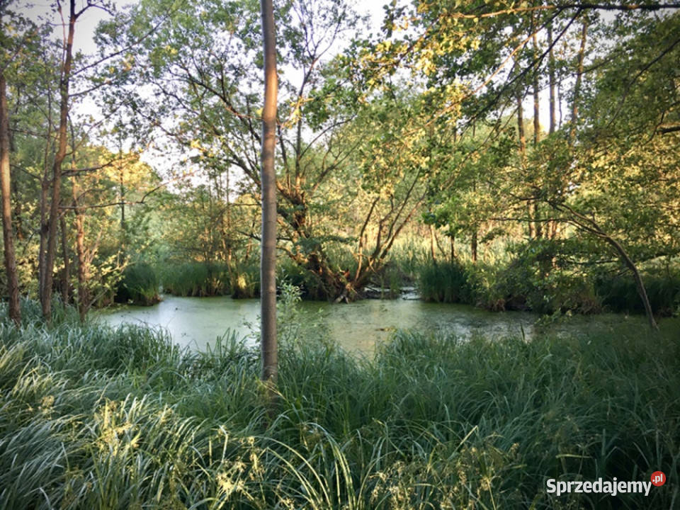 Działka pod zabudowę jednorodzinną 5057 m Mariew