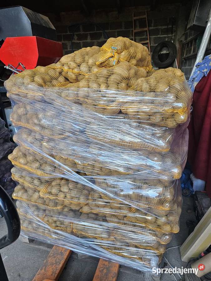 Ziemniaki jadalne Ignacy Soraya na paletach Kolosy