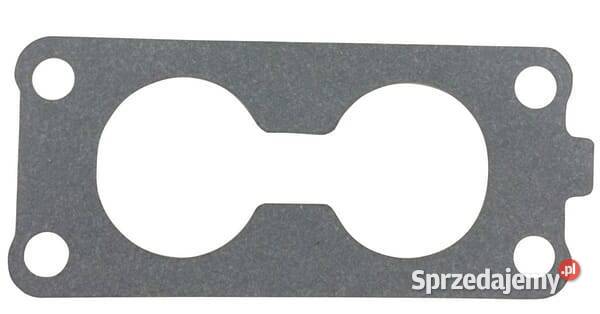 Uszczelka 110607024