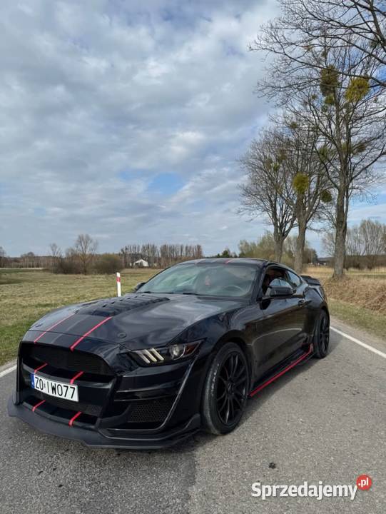 Ford Mustang 23 Ecoboost lubelskie Siedliszcze