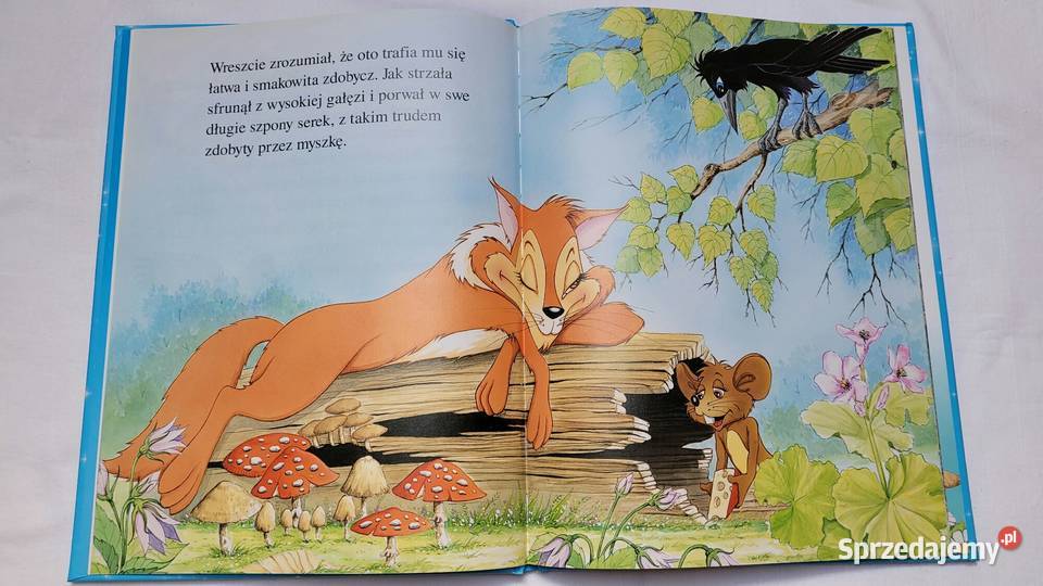 Kruk i lis Piekary Śląskie