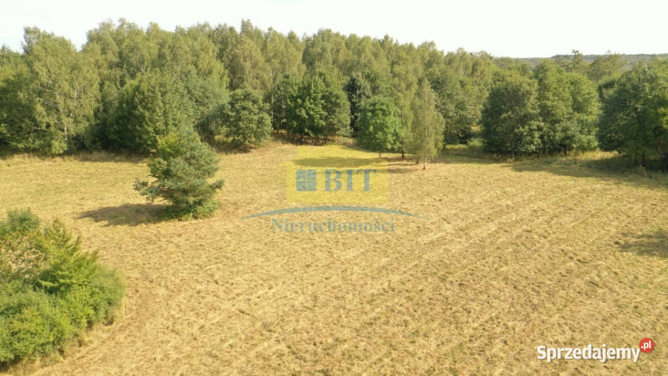 Działka 3087m2 jeziorem Komorze rekreacyjna Kuszewo