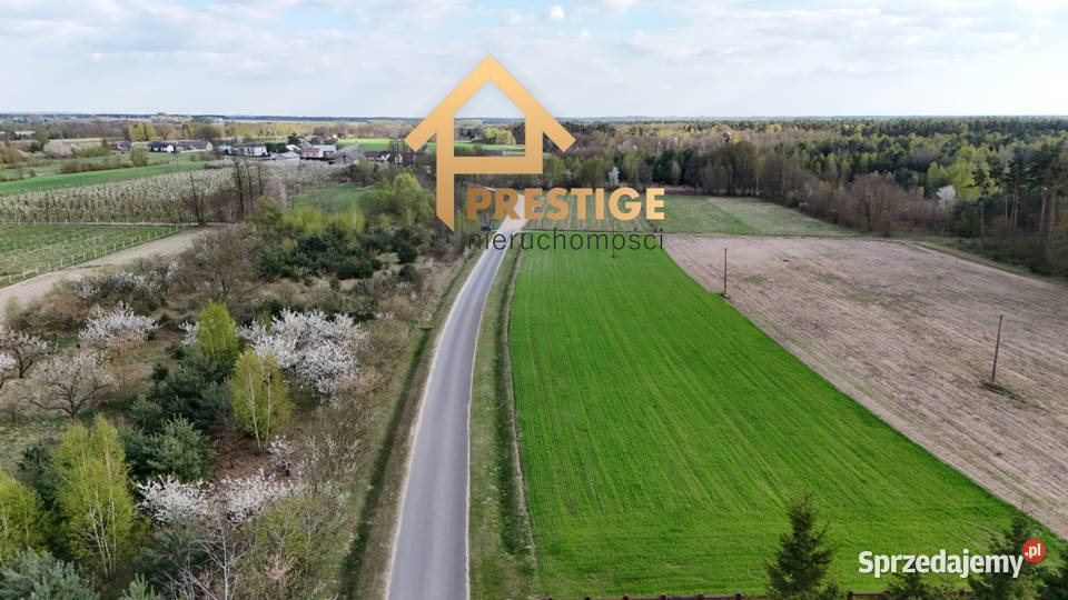 Działki budowlane lesieNowy Świat gmina Nowy Świat