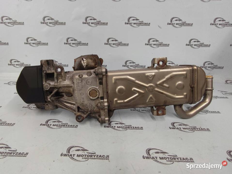 A3 LEON FABIA RAPID 16 TDI CAYN 154 chłodniczka Recyrkulacja spalin EGR świętokrzyskie Kielce