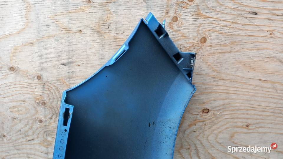 RENAULT SCENIC III LIFT BŁOTNIK PRZÓD LEWY TERBP Zbierkowo sprzedam
