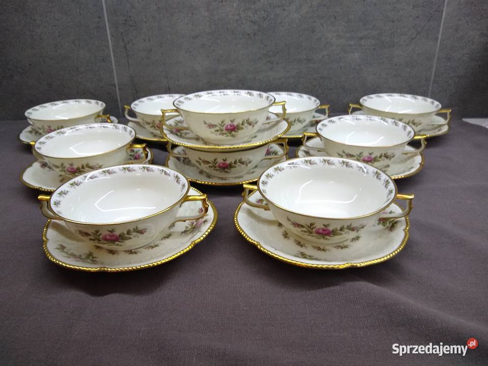Bulionówka Rosenthal Sanssouci Moosrose wielkopolskie