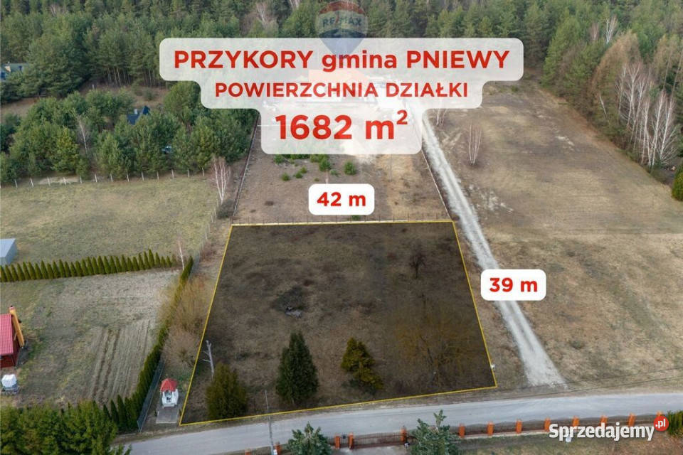 Działka budowlana Przykory gmina Pniewy Sprzedaż sprzedam
