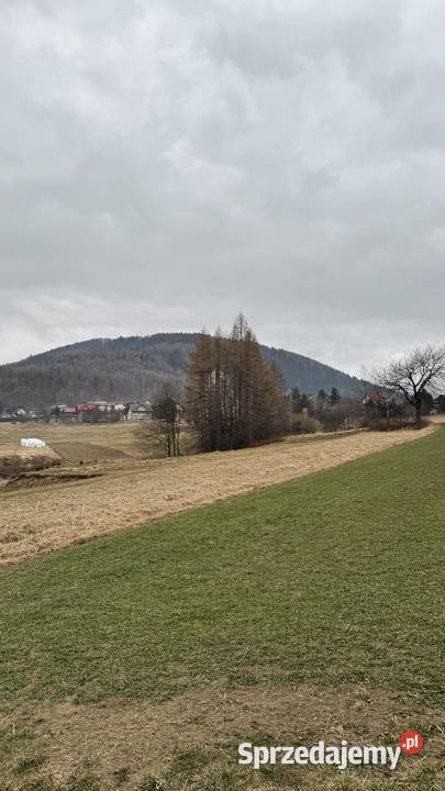 Działka Twardorzeczka z widokiem prąd Sprzedaż sprzedam