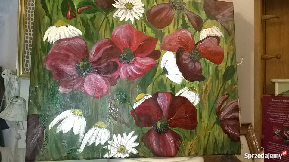 Łąka z makami akryl na płótnie dolnośląskie Oleśnica