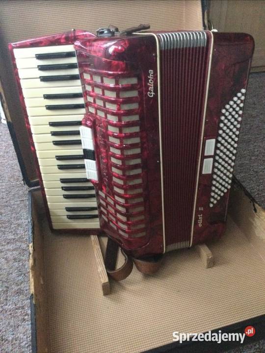 Akordeon Galotta 96 Basy Szczebrzeszyn