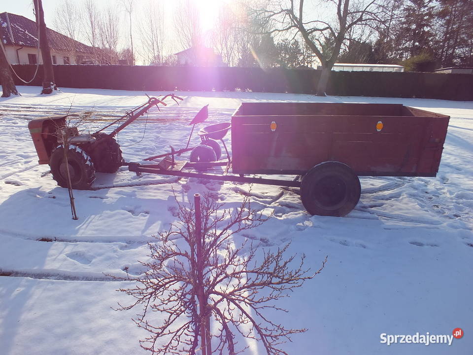 Dzik 221 Sprawny Osprzęt Kurier ŚLĄSK Golasowice