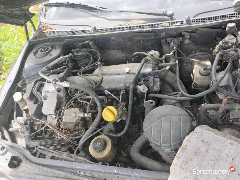 RENAULT LAGUNA MK1 LIFT KOMBI Kamień-Kolonia