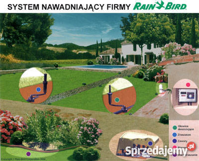 Automatyczne Systemy Nawadniające Hurtownia kujawsko-pomorskie Bydgoszcz