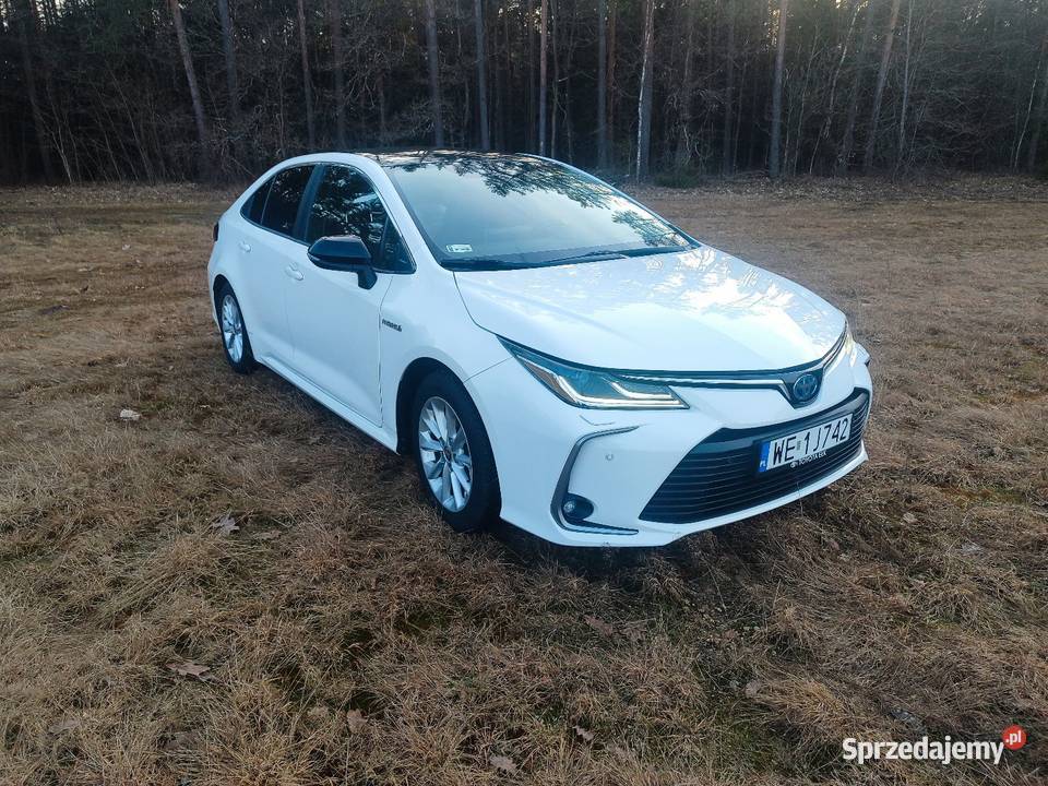 Toyota Corolla 18 hybryda czujnik parkowania Ełk